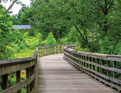 10 Reasons Middleburg Heights is the Place to Be